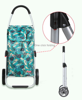Sacs de chariot pour caddie avec alliage d'aluminium et grandes roues Sacs de légumes 50l panier