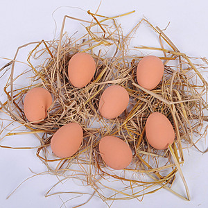 1 Pieza Huevo Saltarín Novedoso para Principiantes, Bolas <span class=keywords><strong>de</strong></span> <span class=keywords><strong>Goma</strong></span> Realistas, Huevo Mágico <span class=keywords><strong>de</strong></span> Gallina para Nido, Juguete para Mascotas - Product Image 4