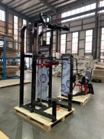 Máquina de Dominadas Asistidas para Gimnasio Comercial, Equipo de Entrenamiento de Espalda