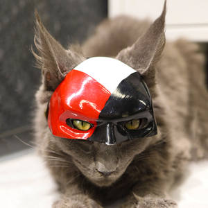 หน้ากากแมวพลาสติกแบบใหม่ลายแบทแคท <span class=keywords><strong>ส</strong></span>ำหรับแต่งตัว<span class=keywords><strong>ส</strong></span>ัตว์เลี้ยงน่ารัก อุปกรณ์สำหรับสัตว์เลี้ยง - Product Image 4