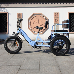 <span class=keywords><strong>Tricycle</strong></span> électrique à pneus larges, scooter à trois roues, vélo électrique de transport pour adultes, vélo électrique <span class=keywords><strong>vintage</strong></span>, siège passager assorti, vélo électrique - Product Image 2