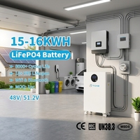 Paquete de Baterías LiFePO4 de 51.2V 300Ah CE OEM, 15 kWh 16 kWh, 8000 Ciclos, BMS Inteligente CAN, Garantía de 10 Años, Sistema de Almacenamiento Solar para el Hogar
