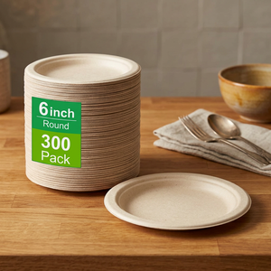 Assiette jetable en pulpe de bagasse blanche classique, certifiée LFGB, sans BPA, biodégradable, écologique, taille et logo personnalisables - Product Image 3