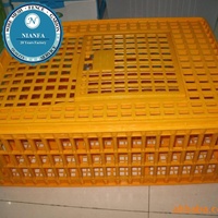 Cage/Caisse/Boîte de transport pour volailles (poulets/canards/pigeons/colibris) en treillis métallique soudé – Directement de l'usine de Guangzhou