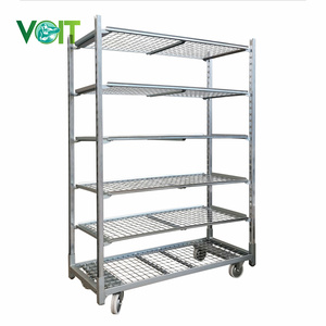 VOIT Xe Ngựa CC Euro Xe Đẩy Trồng Nấm Cho Vườn Ươm Hoa Danois - Product Image 3