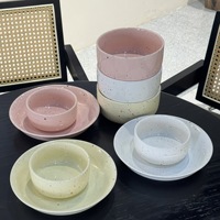 Service de vaisselle en céramique mouchetée couleur macaron pastel, assiettes et bols à glaçure réactive sous émail pour la maison, la cuisine et les restaurants