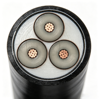 Câble en aluminium moyenne tension MV 11kV 33kV XLPE SWA AWA Câble d'alimentation BS 6622 IEC 60502-2