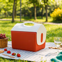 Glacière portable 15L pour boissons, avec poignée, en plastique, multifonction, idéale pour pique-nique, camping, champagne - Vente en gros