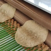 Machine à fabriquer des tortillas mexicaines entièrement automatique CE 1200-1800 pièces, machine industrielle à roti, burrito et tortillas