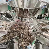 Soluzione Automatica Integrata per Alimentazione, Pesatura e Insacchettamento - Linea di Confezionamento Verticale Form-Fill-Seal