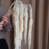Lange Caudatus Geconserveerde Minnaar 'S Traan Hangende Amaranthus Voor Decoratie Gedroogde Gebleekte Witte Decoratieve Bloemen & Kransen Bruiloft