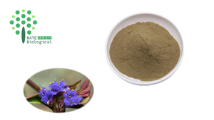 Pur Naturel 20-Hydroxyecdysone 95%-98% Bêta Ecdysone Cyanotis Arachnoidea Extrait Tambour Emballage HPLC Test - Product Image 6