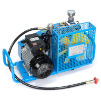 Prix usine de haute qualité 2.5KW compresseur d'air de plongée portable Mini 380V