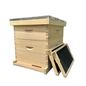 The popular Beekeeping Equipment dadant Wood Bee Hives 10 Frames for Wooden Dadant Bee hive