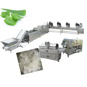 Complete aloe vera gel making line /aloe vera cubes processing machine