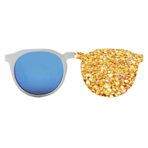 <span class=keywords><strong>Gafas</strong></span> <span class=keywords><strong>de</strong></span> <span class=keywords><strong>sol</strong></span> personalizadas y reciclables biodegradables, a la moda, respetuosas con el medio ambiente, con marco blanco PLA - Product Image 1