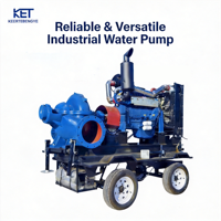 Hocheffiziente, Energiesparende, Großvolumige 500m³/h Industrielle Kreiselpumpe mit Starkem Doppelsaugsystem und OEM-Fähigkeiten.