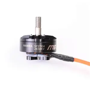 Mamba 2207/1750/2650KV 4-6S Motor sin escobillas CW hilo para 2019 GTR569 RC Drone FPV Racing