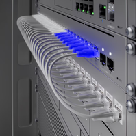 Câble réseau Ubiquiti Etherlighting 3 mètres blanc CAT6 haute vitesse mince UACC-Cable-Patch-EL-3M-W 2,5 Gbit/s PoE+++ RJ45