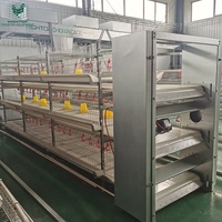 Équipement d'élevage avicole : Cage à poulets de chair multi-niveaux de type H avec système d'alimentation et d'abreuvement automatiques et de retrait du fumier