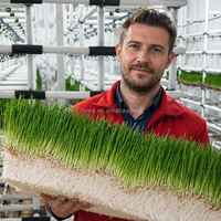 Conteneur hydroponique commercial pour la culture d'herbe d'orge destinée à l'alimentation du bétail aux États-Unis et en Australie