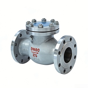 วาล์วกันกลับแบบสวิง DN60 PN25 WCB เหล็กกล้าคาร์บอน สำหรับท่ออุตสาหกรรม - Product Image 3
