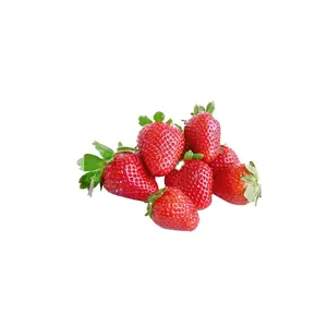 Aardbei Fruit Verse Aardbeien En Gedroogde Goji Bessen Wolfberry Gouden Blueberry 5Kg Dune 25 Ton 15 Dagen Verse Bessen