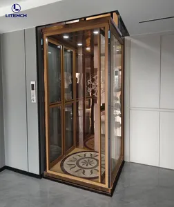 مصعد ذهبي عالي الجودة من الفولاذ المقاوم للصدأ مرتفع للبيع بسعر خاص، مصعد منزلي للسيارة بطابقين