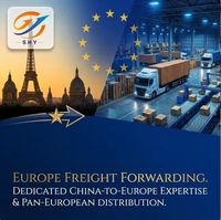 Transitario de Carga LCL en China, una Empresa de Transporte Internacional que Envía Mercancías a Alemania, Francia, Italia y España