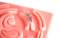 Formation chirurgicale Simulateur de sciences médicales Modèle de peau de suture de laparoscope avec tampon d'entraînement pour la modélisation de suture