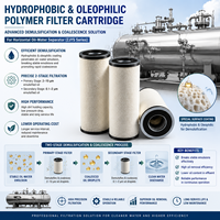 BRATOR Emulgierter Ölentfernungs-Oleophiler Filterseparator für Palmölmühlen-Abwasser POME Abwasserbehandlung 1 Jahr Garantie