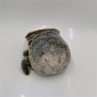 Vente en gros Offre Spéciale Lucas araignée en peluche peluche peluche sautant araignée jouet mignon luca en peluche poupée confort cadeau d'anniversaire