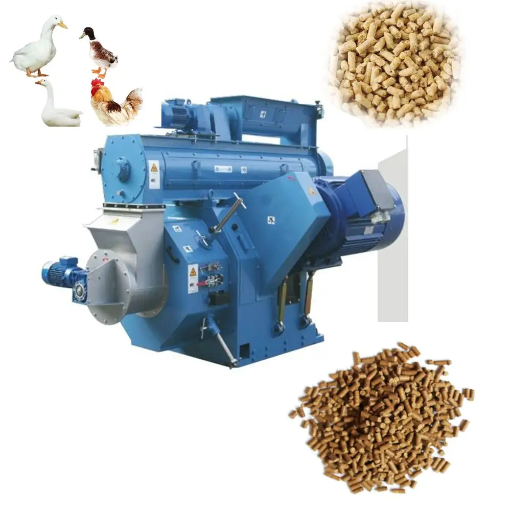 Máquina de procesamiento de pellet de alimentación Animal para aves de corral, molino de bolas con anillo de acero inoxidable, 2 t/h