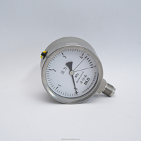 Manomètre en acier inoxydable de la marque BLD, série YTHN, fabrication chinoise, protection IP65/IP66, plage de mesure 250 MPa, pour applications chimiques et pétrochimiques
