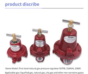 Válvulas reguladoras reductoras de presión de gas de 1/2 pulgadas accionadas por solenoide Rego 597FB originales, producto industrial de China - Product Image 3