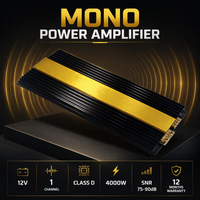 Amplificateur de puissance numérique pour voiture mono 12V classe D monocanal 4000W Modèle W-K3500.1D