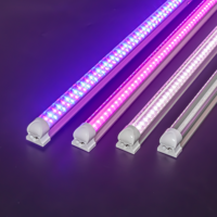 Pro-groei Full Spectrum Hydroponisch Systeem Veg Kloon Zaailing Bloei voor 1200mm T8 LED Kweekbuisverlichting 5 Jaar Garantie CRI 90