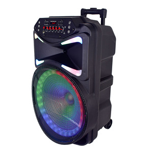 Altavoz Portátil Personalizado de 12 Pulgadas con Pantalla, Iluminación LED RGB y Diseño Compacto - Product Image 1