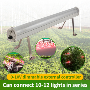 Fabbrica diretta Led crescono la luce a spettro completo Led verde <span class=keywords><strong>casa</strong></span> 120w 150w samsung Lm301h <span class=keywords><strong>Evo</strong></span> Led coltiva la luce - Product Image 2