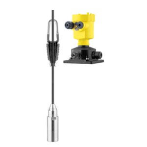100% Original pour VEGABAR 87 Scellant chimique pour la mesure des températures élevées des milieux 0,1%/0,5% - Product Image 1