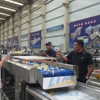 Hoge Efficiëntie Continue Automatische Patatfriet Friteuse Fruitverwerkingsapparatuur Diepvries Patatlijn 3000kg/u