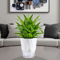 Pot de fleurs hydroponique blanc transparent jardinière en pot bonsaï auto-arrosant pour jardinage à la maison paquet de 1