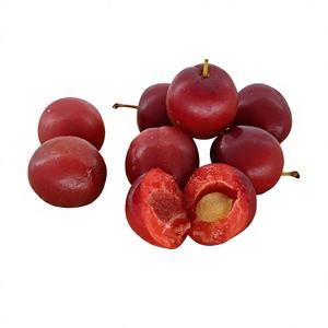 Extracto de Frutos de Prunus Humilis en Polvo de Alta Calidad y Alto Contenido 10:1, Polvo Soluble en Agua de Prunus Humilis, Grado Alimenticio - Product Image 4