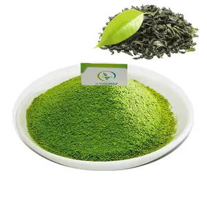 Haccp New product Food Grade Free sample green tea extract green tea extract powder green tea powder