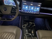 Tapis lumineux LED à fibres optiques noirs de luxe, étanches IP65, pour voitures, avec effet scintillant, télécommande APP et variateur d'intensité