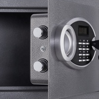Caja Fuerte Electrónica Digital Ignífuga Safewell E3603E para Hotel, Hogar u Oficina, con Cerradura Digital para Seguridad de Dinero/Efectivo