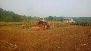 Proveedor de Cultivadoras Rotativas Multifuncionales, Duraderas y Profesionales, con Función de Entierrapiedras - Product Image 3