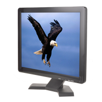 Moniteur d'ordinateur LCD HD 15 pouces avec résolution 1024*768 et coque en plastique