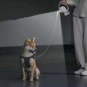 Cuerda para perros 2,0, Correa inteligente para perros, manos libres, antigolpes, luz <span class=keywords><strong>LED</strong></span> para caminar, correa retráctil para mascotas OVNI - Product Image 4