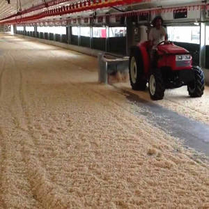 Nave Prefabricada para Cría de Pollos, Granja Avícola, Fábrica de Matanza de Aves - Product Image 3